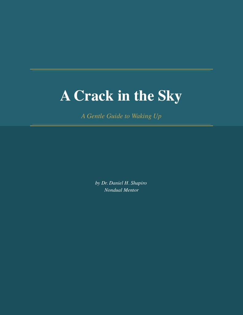 A Crack in the Sky by Daniel H. Shapiro